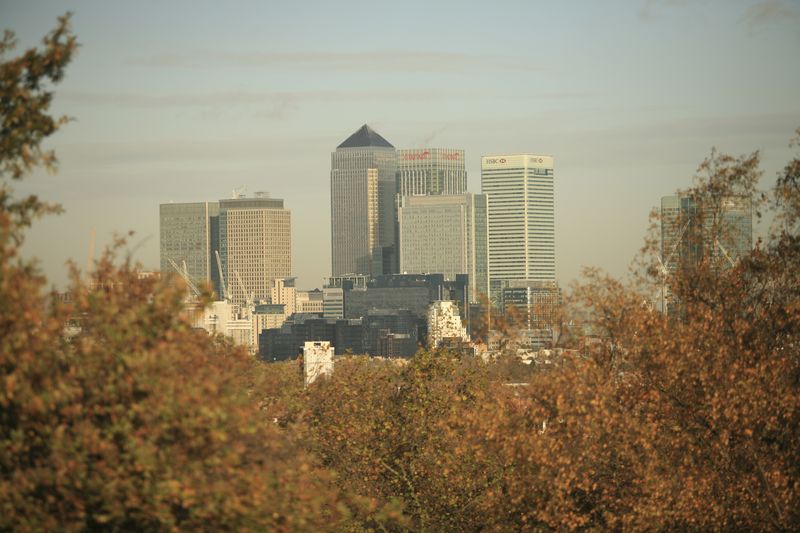 Docklands countryside